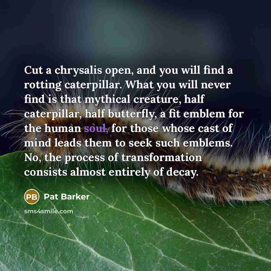 “Cut a chrysalis open, and you will find a rotting caterpillar. What you will never find is that mythical creature, half caterpillar, half butterfly, a fit emblem for the human soul, for those whose cast of mind leads them to seek such emblems. No, the process of transformation consists almost…” quote by Pat Barker