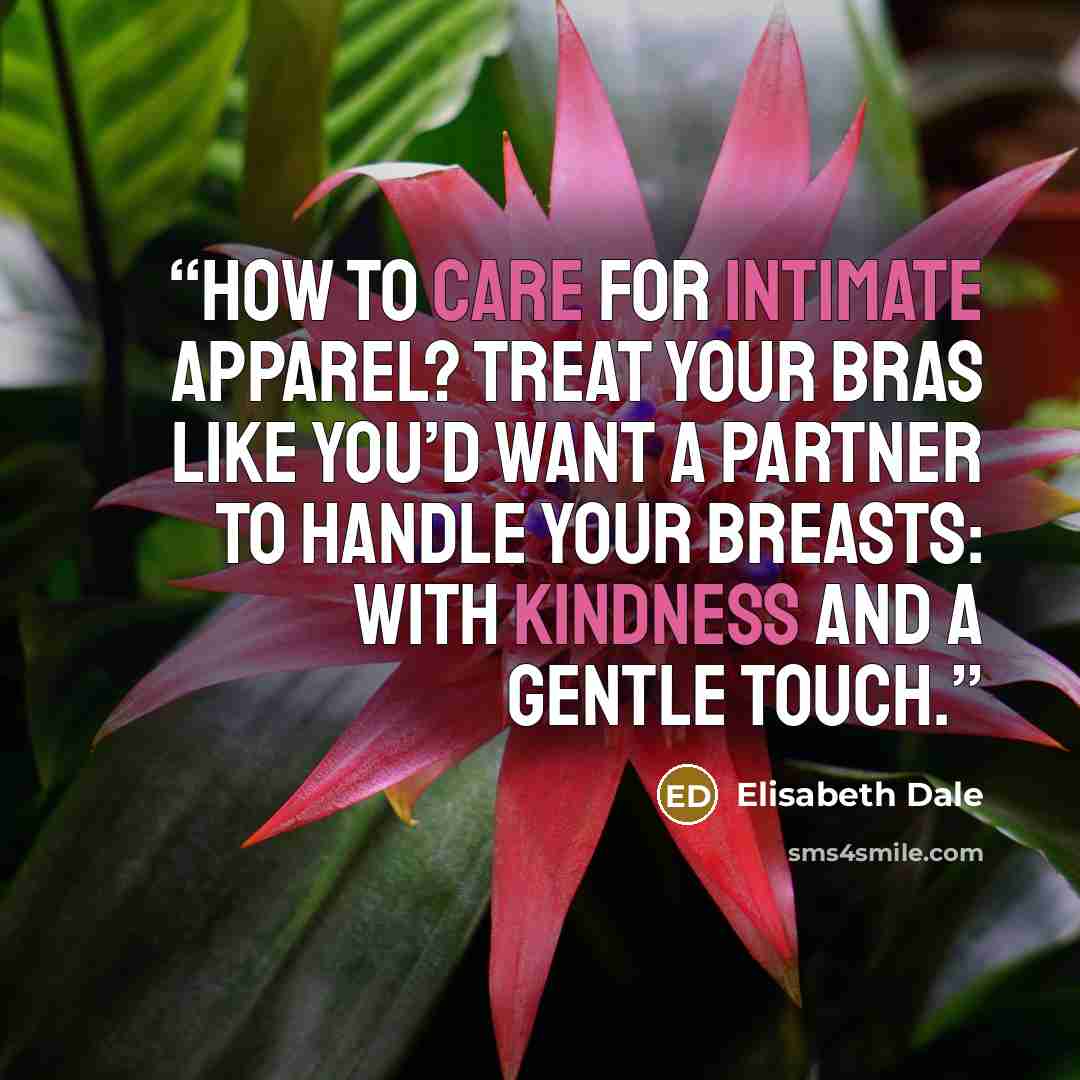 “How to care for intimate apparel? Treat your bras like you’d want a partner to handle your breasts: with kindness and a gentle touch.” quote by Elisabeth Dale