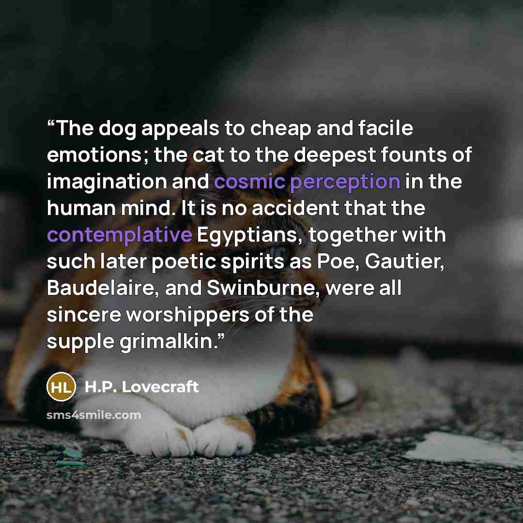 “The dog appeals to cheap and facile emotions; the cat to the deepest founts of imagination and cosmic perception in the human mind. It is no accident that the contemplative Egyptians, together with such later poetic spirits as Poe, Gautier, Baudelaire, and Swinburne, were all sincere worshippers…” quote by H.P. Lovecraft