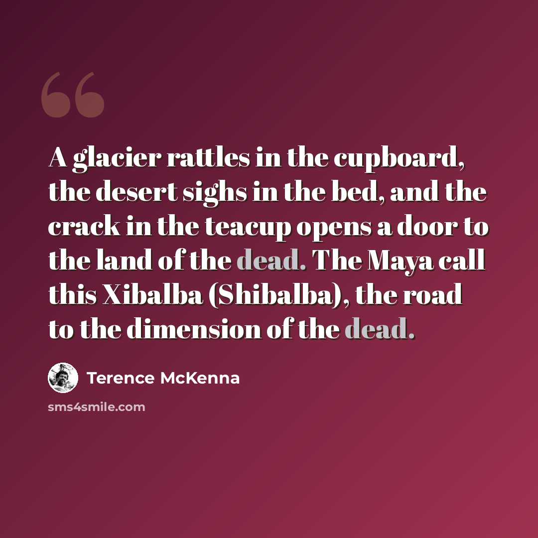 “A glacier rattles in the cupboard, the desert sighs in the bed, and the crack in the teacup opens a door to the land of the dead. The Maya call this Xibalba (Shibalba), the road to the dimension of the dead.” quote by Terence McKenna
