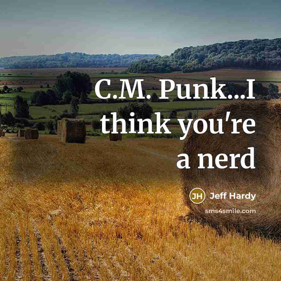 “C.M. Punk...I think you're a nerd” quote by Jeff Hardy