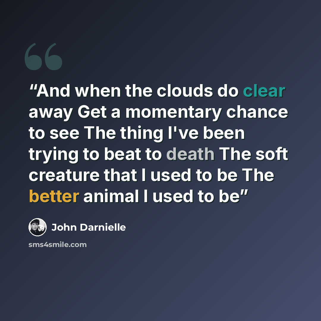 “And when the clouds do clear away Get a momentary chance to see The thing I've been trying to beat to death The soft creature that I used to be The better animal I used to be” quote by John Darnielle
