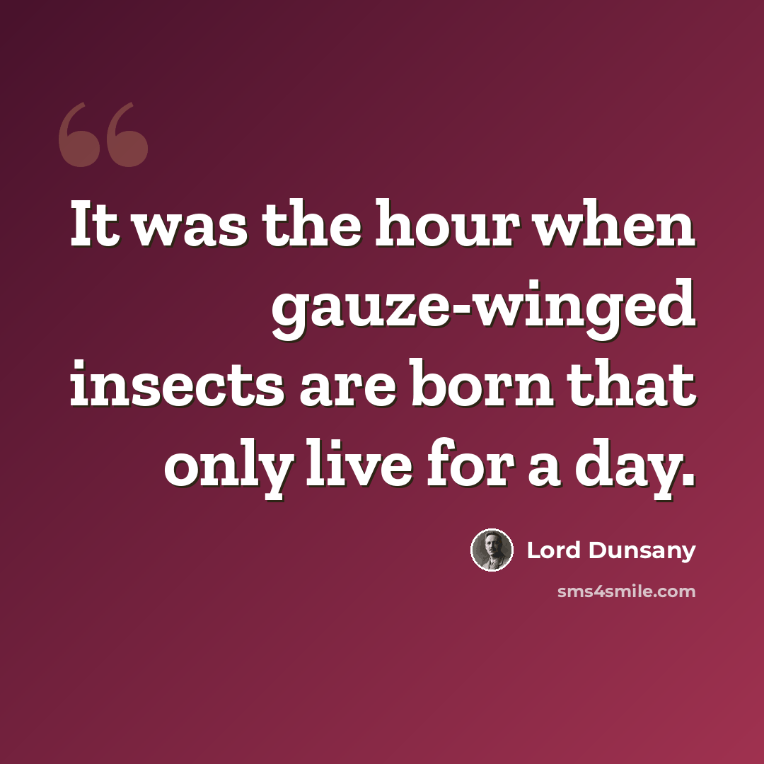 “It was the hour when gauze-winged insects are born that only live for a day.” quote by Lord Dunsany