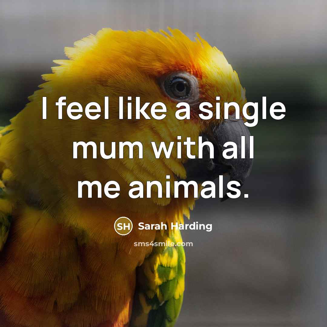 “I feel like a single mum with all me animals.” quote by Sarah Harding