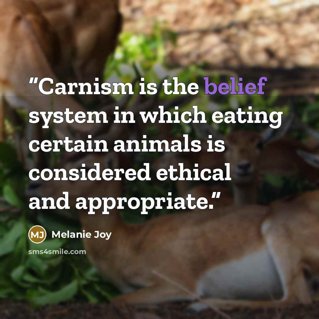 “Carnism is the belief system in which eating certain animals is considered ethical and appropriate.” quote by Melanie Joy