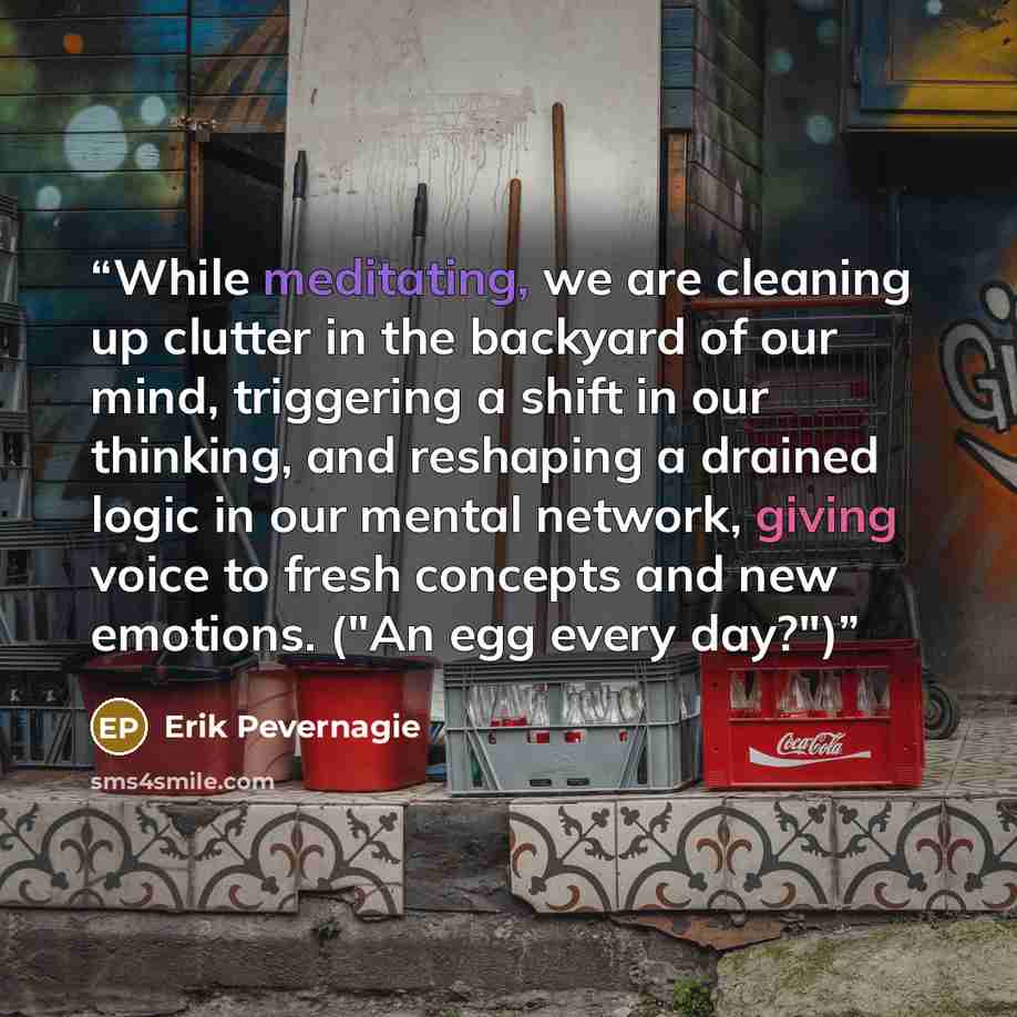 “While meditating, we are cleaning up clutter in the backyard of our mind, triggering a shift in our thinking, and reshaping a drained logic in our mental network, giving voice to fresh concepts and new emotions. ("An egg every day?")” quote by Erik Pevernagie