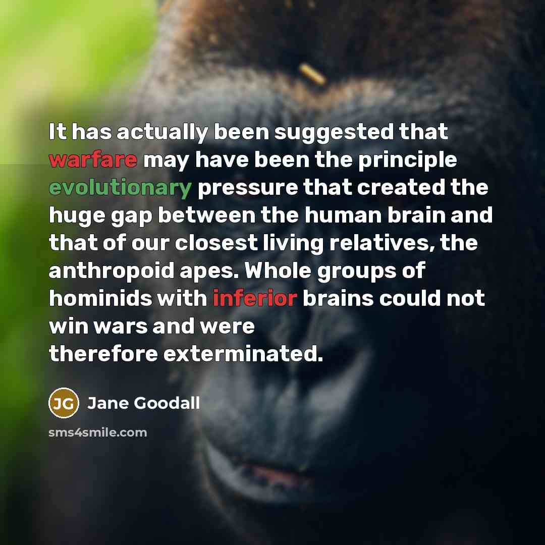 “It has actually been suggested that warfare may have been the principle evolutionary pressure that created the huge gap between the human brain and that of our closest living relatives, the anthropoid apes. Whole groups of hominids with inferior brains could not win wars and were therefore…” quote by Jane Goodall
