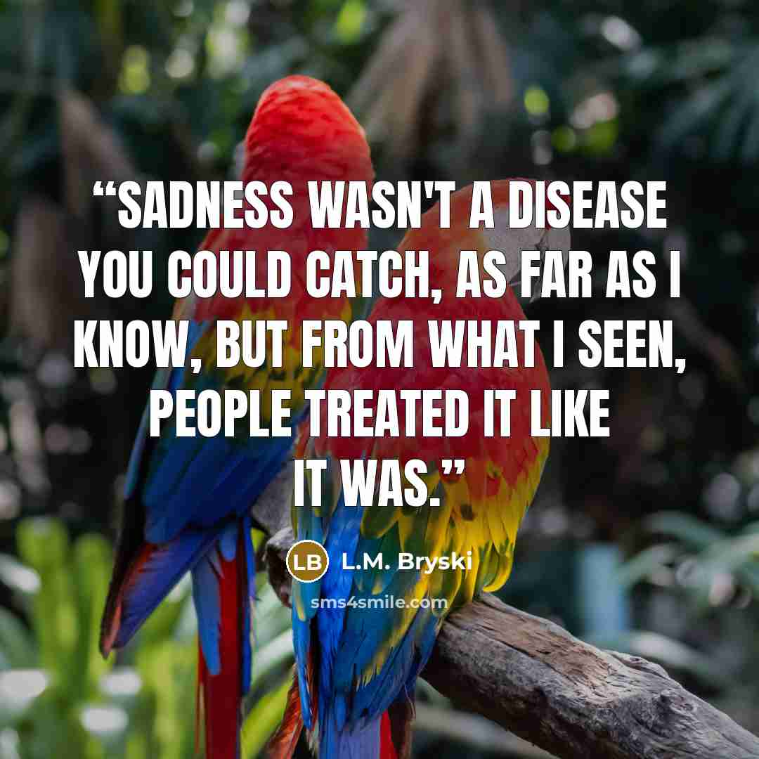 “Sadness wasn't a disease you could catch, as far as I know, but from what I seen, people treated it like it was.” quote by L.M. Bryski