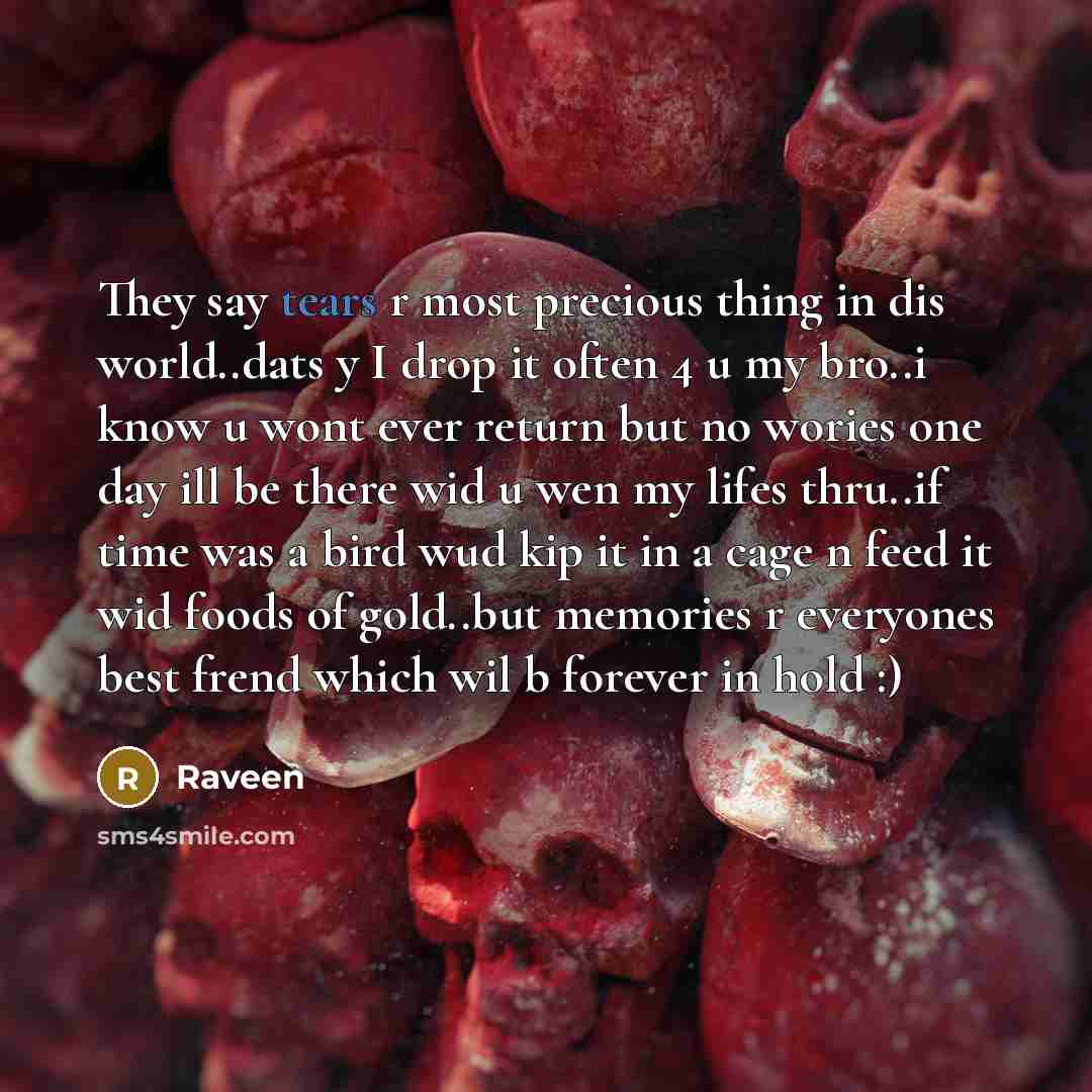 “They say tears r most precious thing in dis world..dats y I drop it often 4 u my bro..i know u wont ever return but no wories one day ill be there wid u wen my lifes thru..if time was a bird wud kip it in a cage n feed it wid foods of gold..but memories r everyones best frend which wil b forever…” quote by Raveen