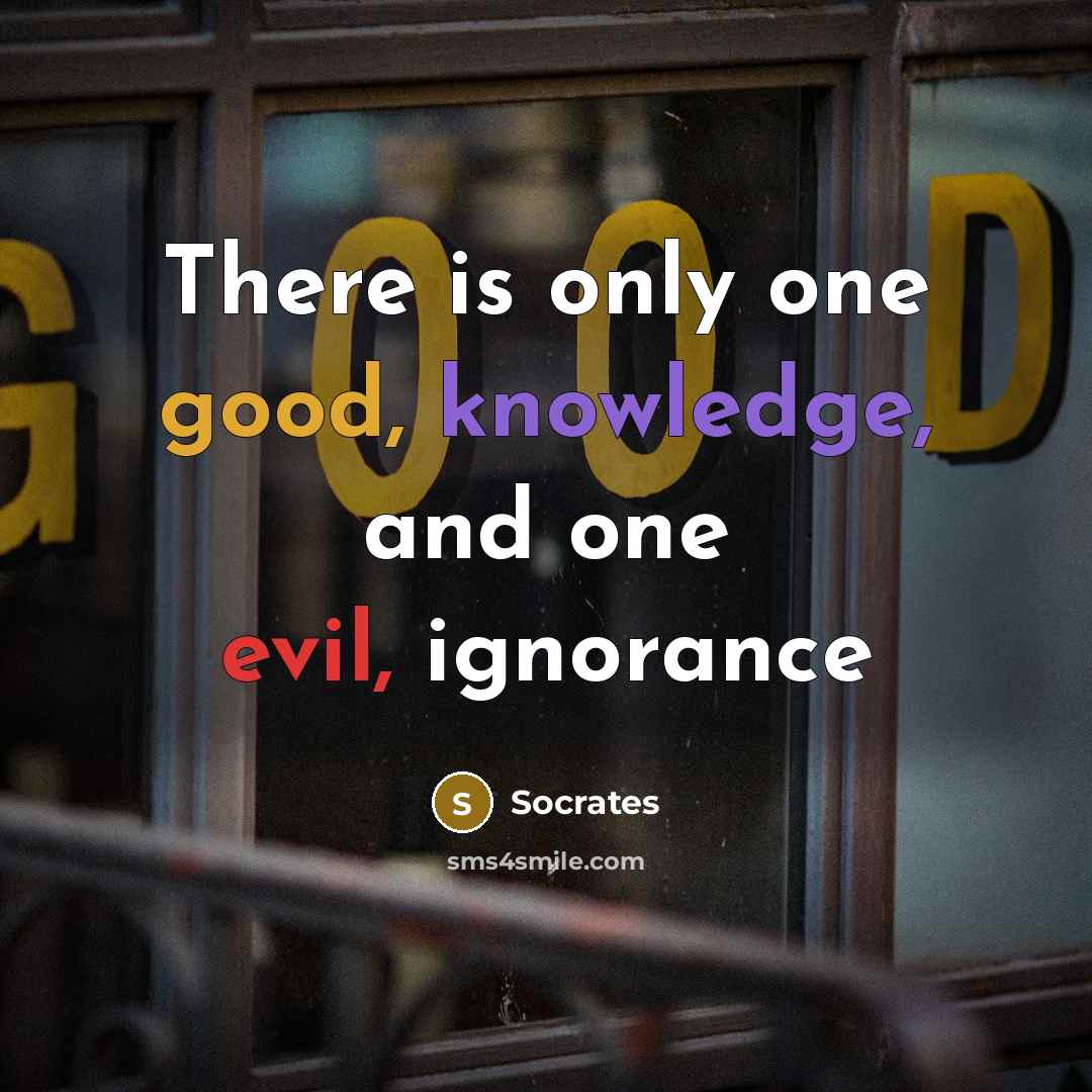 “There is only one good, knowledge, and one evil, ignorance” quote by Socrates