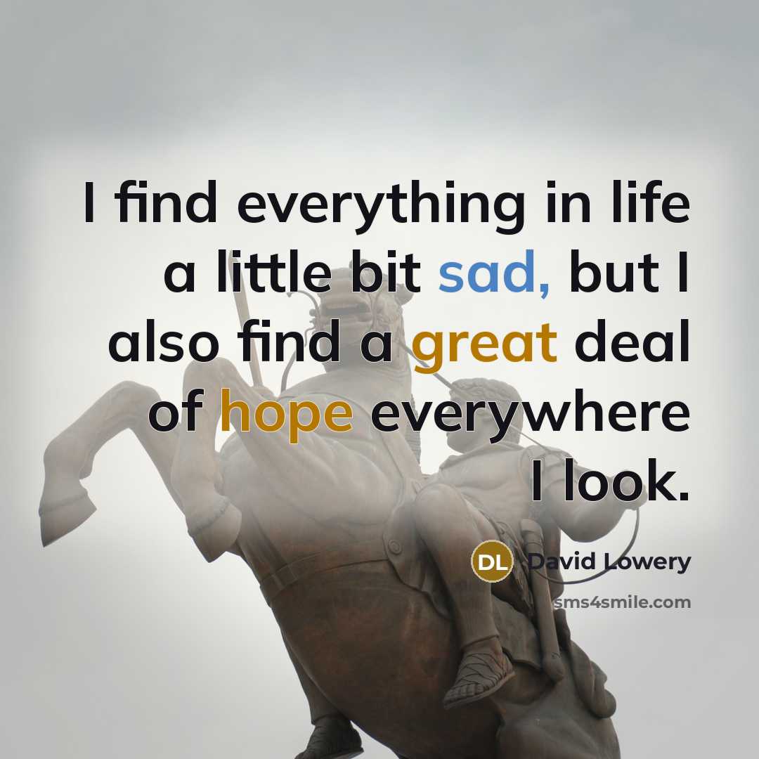 “I find everything in life a little bit sad, but I also find a great deal of hope everywhere I look.” quote by David Lowery