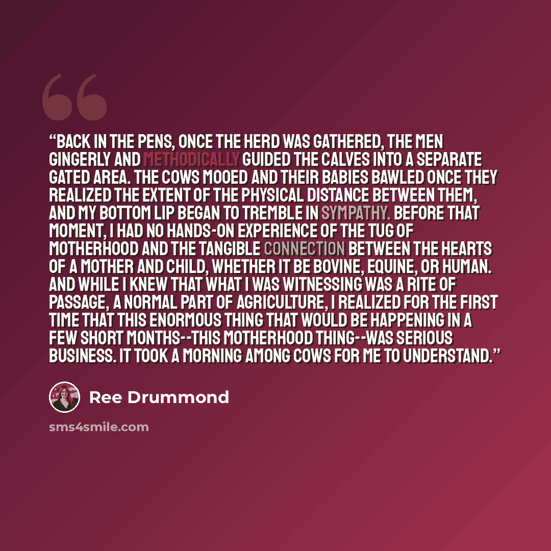 “Back in the pens, once the herd was gathered, the men gingerly and methodically guided the calves into a separate gated area. The cows mooed and their babies bawled once they realized the extent of the physical distance between them, and my bottom lip began to tremble in sympathy. Before that…” quote by Ree Drummond