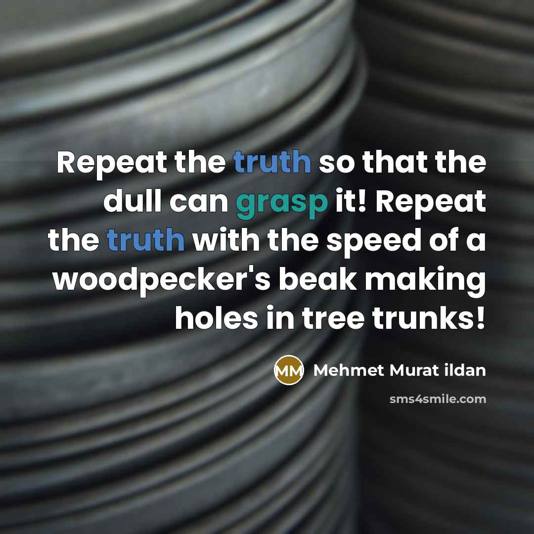 “Repeat the truth so that the dull can grasp it! Repeat the truth with the speed of a woodpecker's beak making holes in tree trunks!” quote by Mehmet Murat Ildan