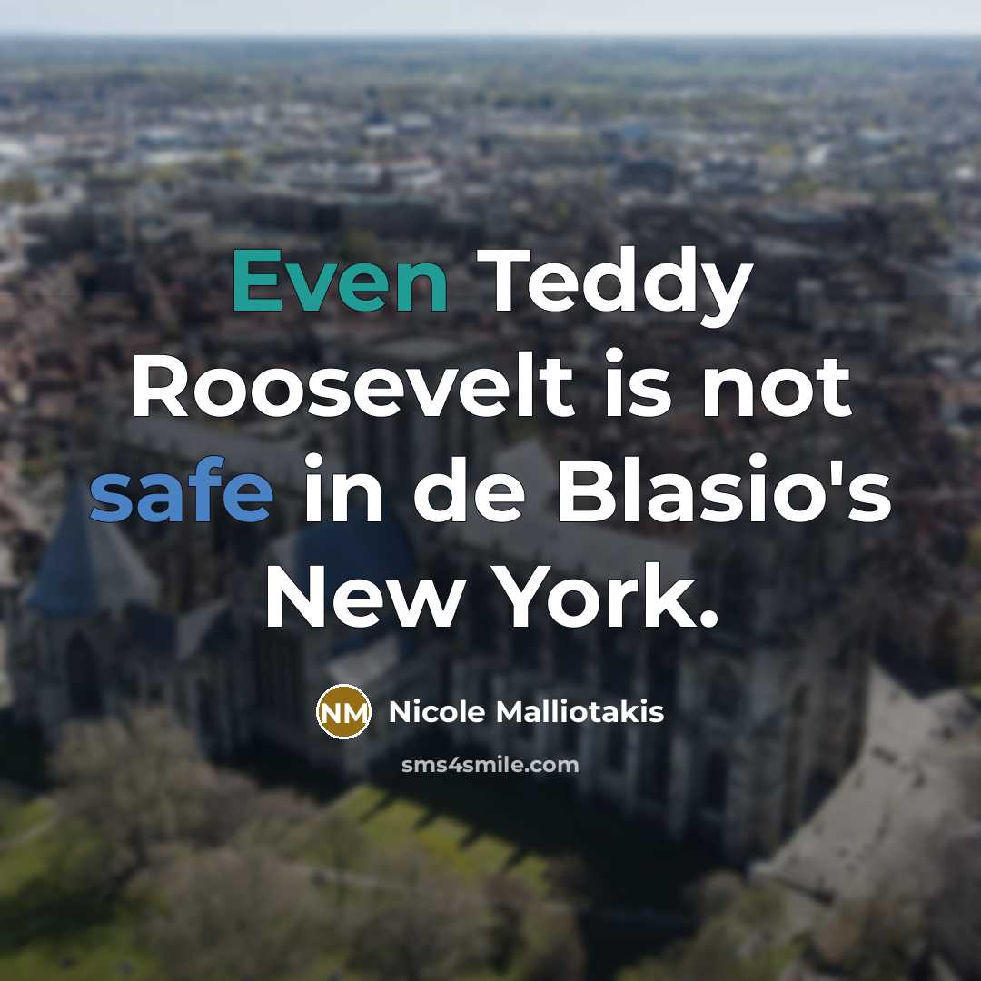 “Even Teddy Roosevelt is not safe in de Blasio's New York.” quote by Nicole Malliotakis