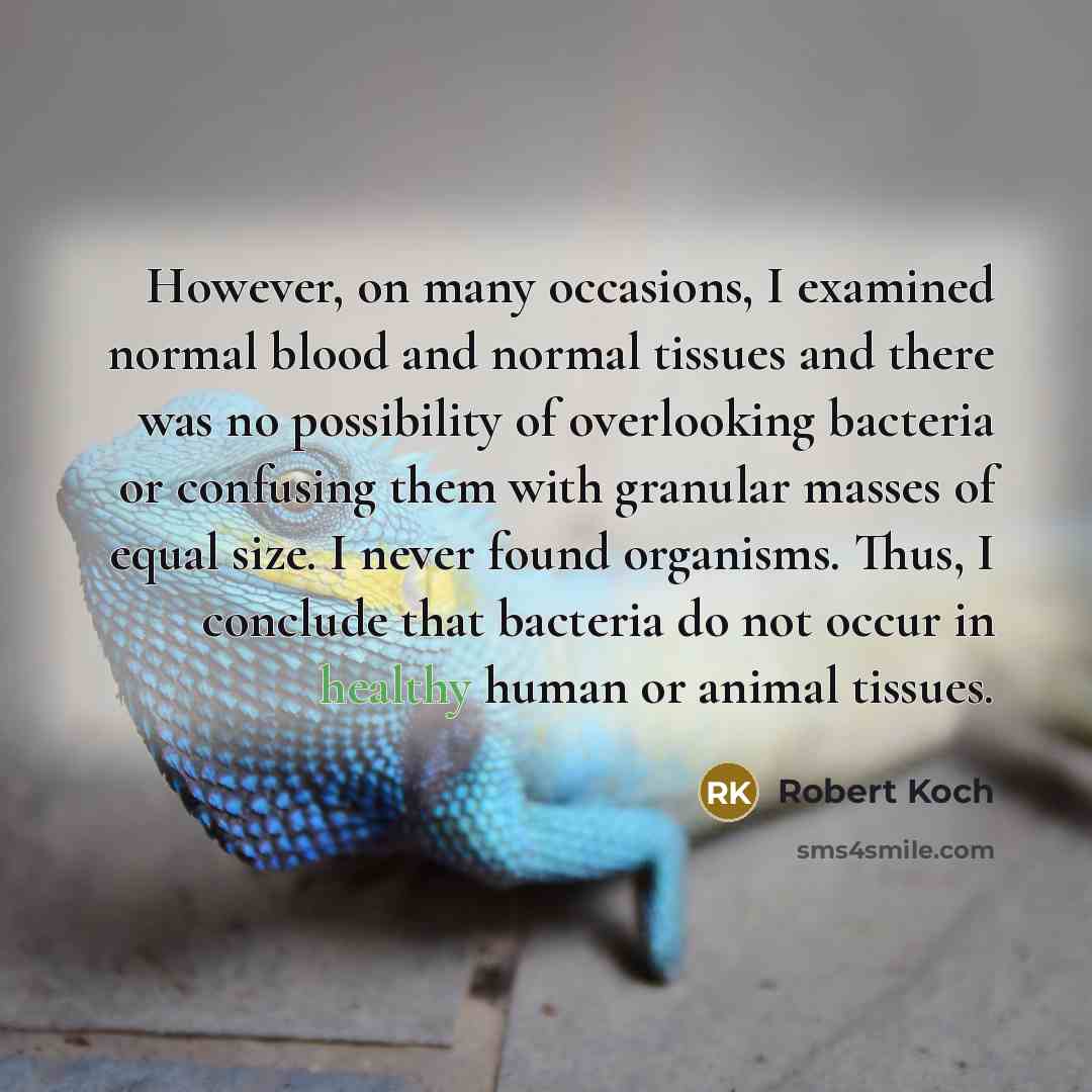 “However, on many occasions, I examined normal blood and normal tissues and there was no possibility of overlooking bacteria or confusing them with granular masses of equal size. I never found organisms. Thus, I conclude that bacteria do not occur in healthy human or animal tissues.” quote by Robert Koch