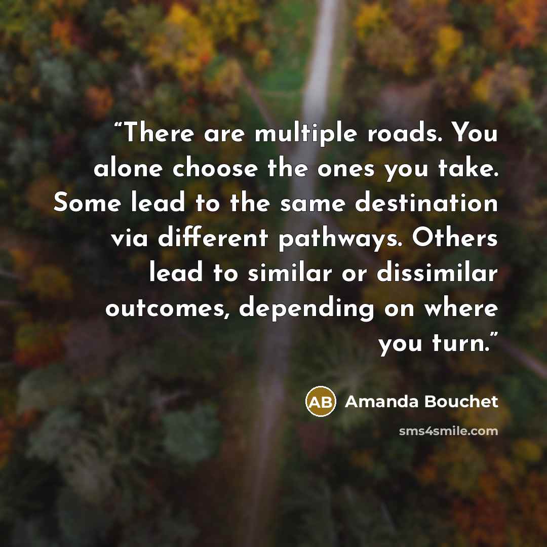 “There are multiple roads. You alone choose the ones you take. Some lead to the same destination via different pathways. Others lead to similar or dissimilar outcomes, depending on where you turn.” quote by Amanda Bouchet
