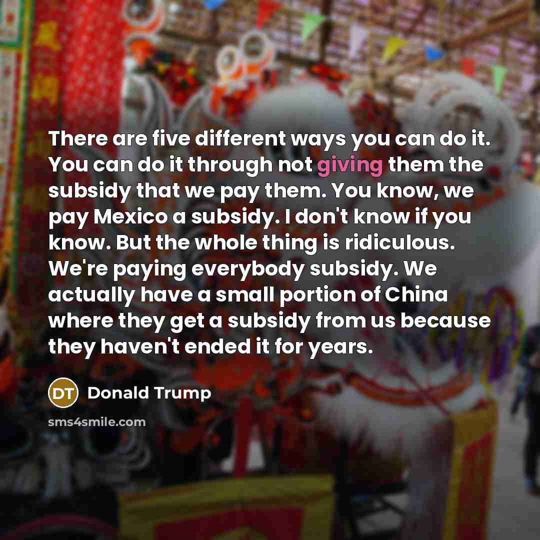 “There are five different ways you can do it. You can do it through not giving them the subsidy that we pay them. You know, we pay Mexico a subsidy. I don't know if you know. But the whole thing is ridiculous. We're paying everybody subsidy. We actually have a small portion of China where they get…” quote by Donald Trump