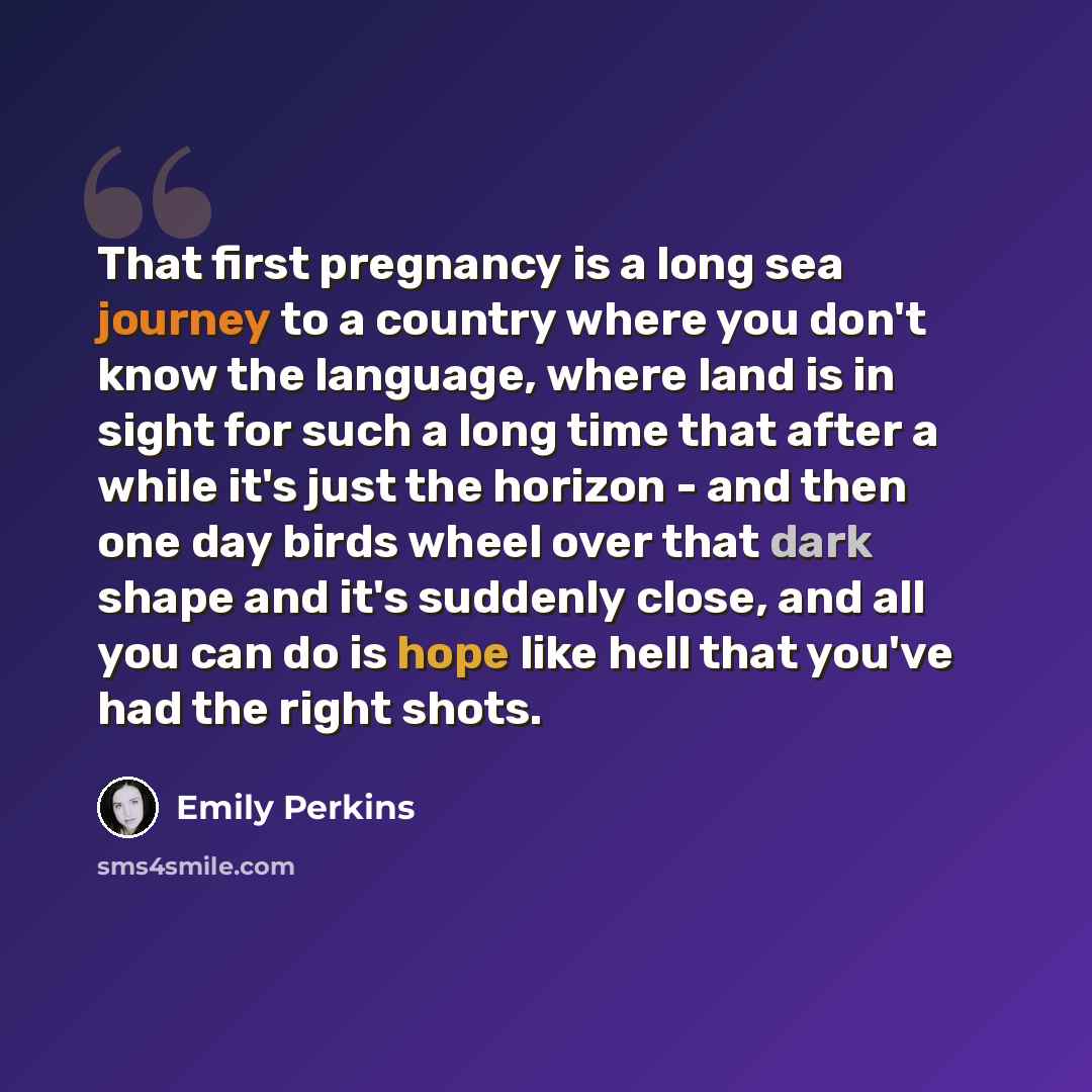 “That first pregnancy is a long sea journey to a country where you don't know the language, where land is in sight for such a long time that after a while it's just the horizon - and then one day birds wheel over that dark shape and it's suddenly close, and all you can do is hope like hell that…” quote by Emily Perkins