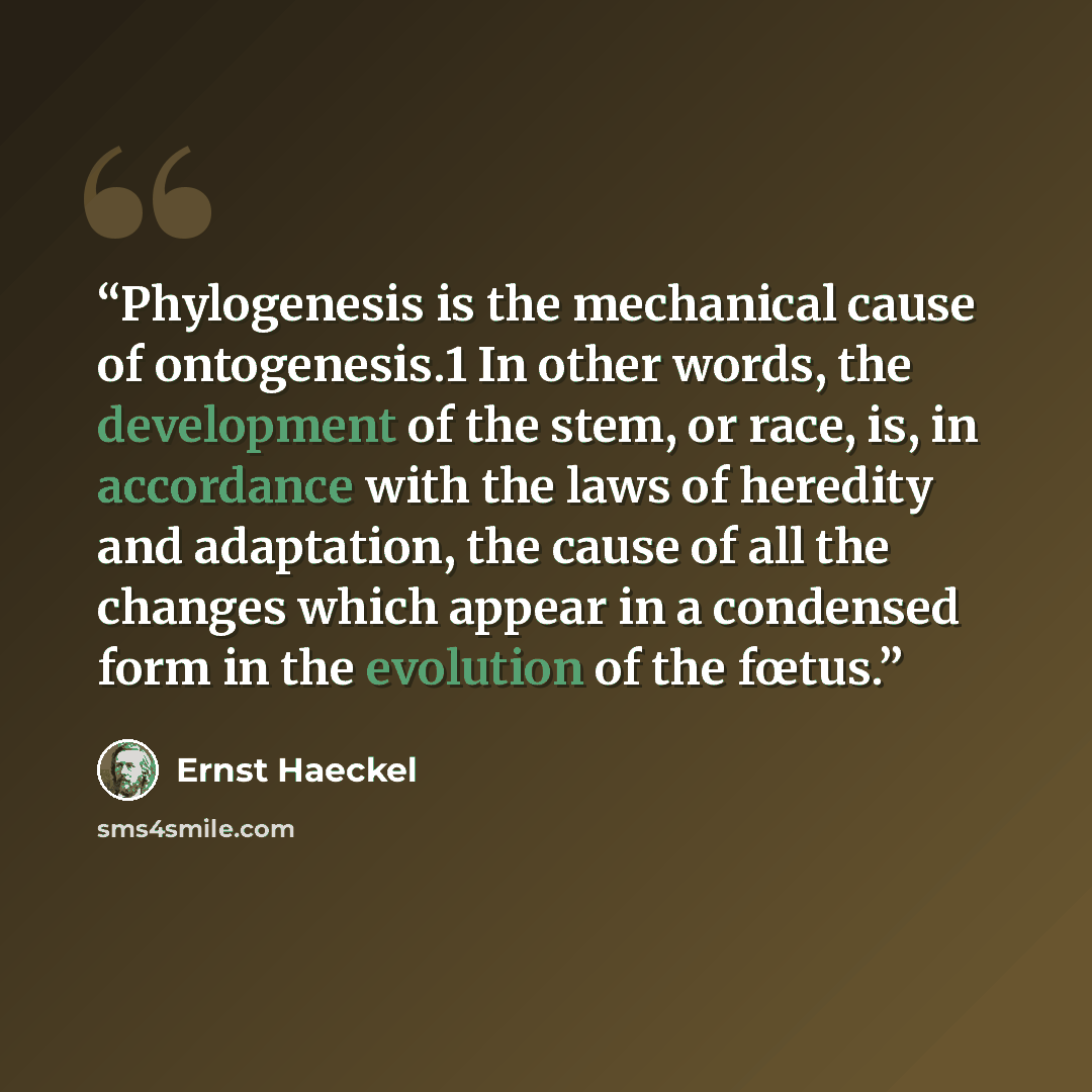 “Phylogenesis is the mechanical cause of ontogenesis.1 In other words, the development of the stem, or race, is, in accordance with the laws of heredity and adaptation, the cause of all the changes which appear in a condensed form in the evolution of the fœtus.” quote by Ernst Haeckel