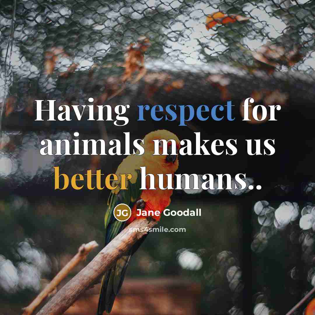 “Having respect for animals makes us better humans..” quote by Jane Goodall