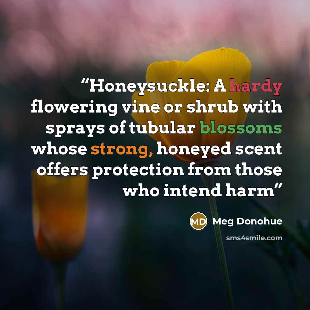 “Honeysuckle: A hardy flowering vine or shrub with sprays of tubular blossoms whose strong, honeyed scent offers protection from those who intend harm” quote by Meg Donohue