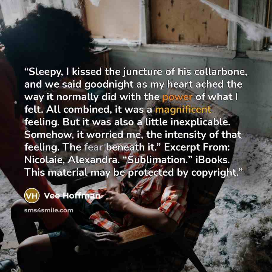 “Sleepy, I kissed the juncture of his collarbone, and we said goodnight as my heart ached the way it normally did with the power of what I felt. All combined, it was a magnificent feeling. But it was also a little inexplicable. Somehow, it worried me, the intensity of that feeling. The fear beneath…” quote by Vee Hoffman