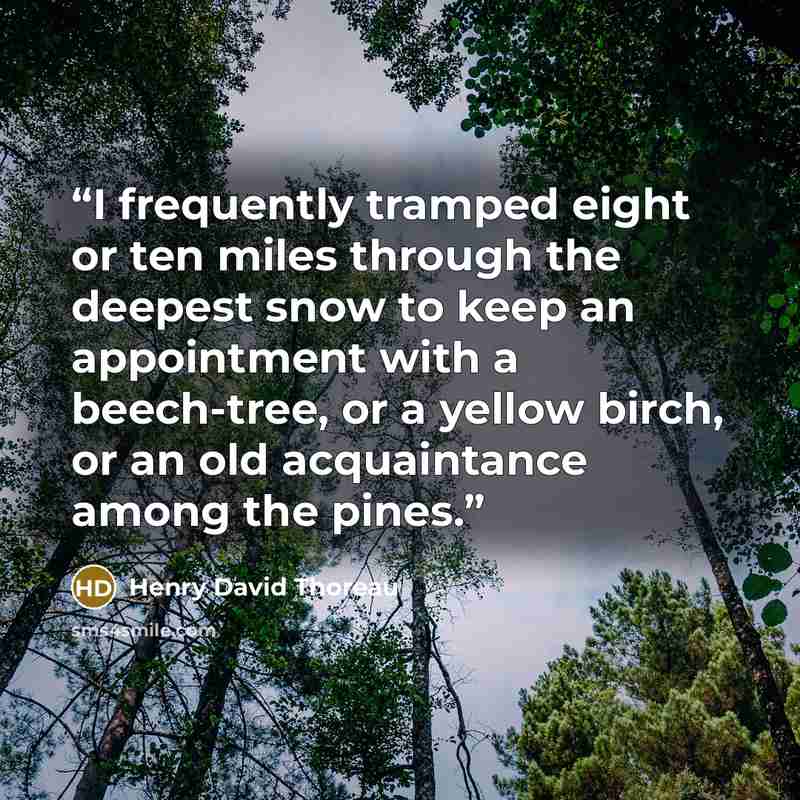 “I frequently tramped eight or ten miles through the deepest snow to keep an appointment with a beech-tree, or a yellow birch, or an old acquaintance among the pines.” quote by Henry David Thoreau