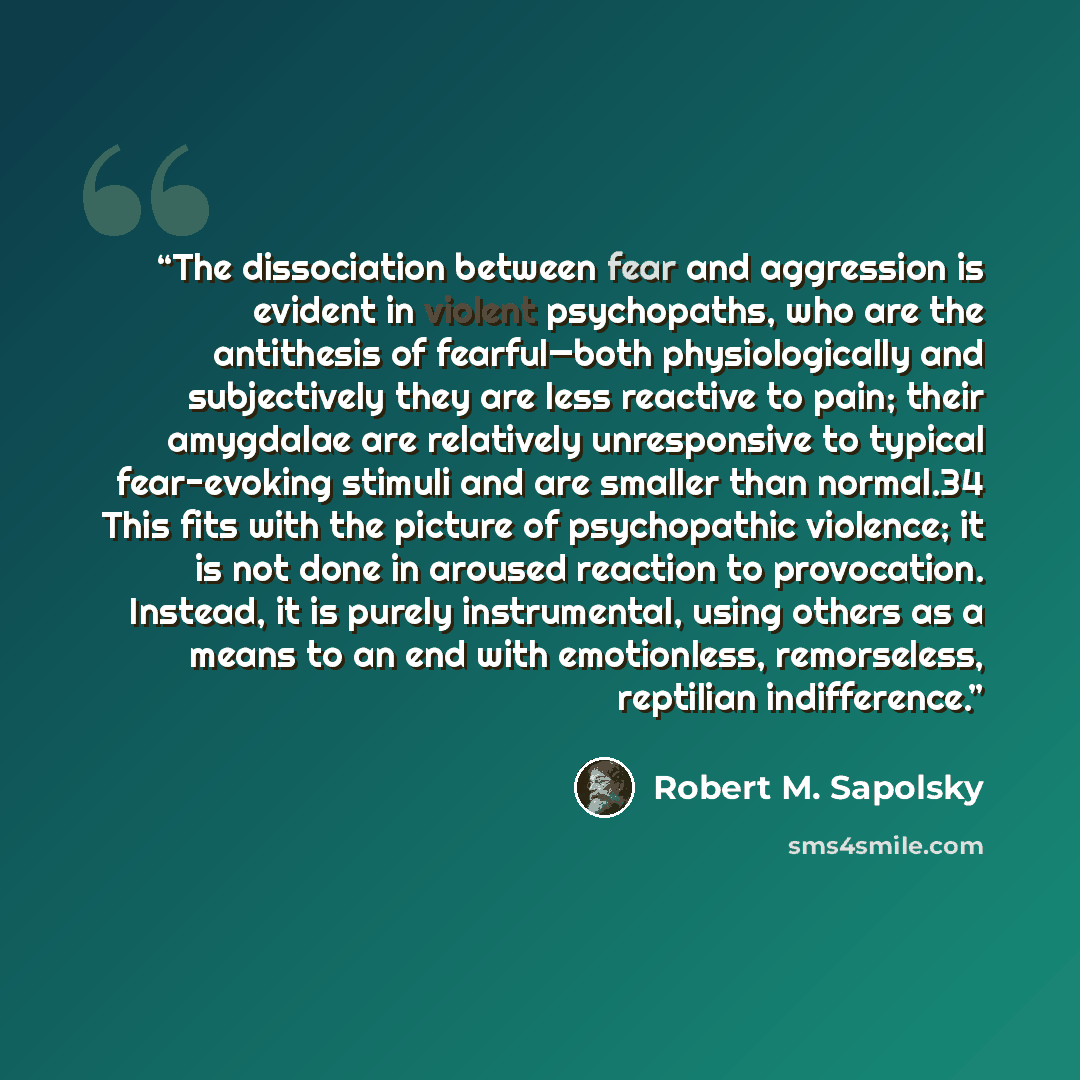 “The dissociation between fear and aggression is evident in violent psychopaths, who are the antithesis of fearful—both physiologically and subjectively they are less reactive to pain; their amygdalae are relatively unresponsive to typical fear-evoking stimuli and are smaller than normal.34 This…” quote by Robert M. Sapolsky