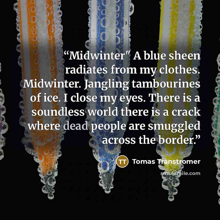 “Midwinter" A blue sheen radiates from my clothes. Midwinter. Jangling tambourines of ice. I close my eyes. There is a soundless world there is a crack where dead people are smuggled across the border.” quote by Tomas Tranströmer