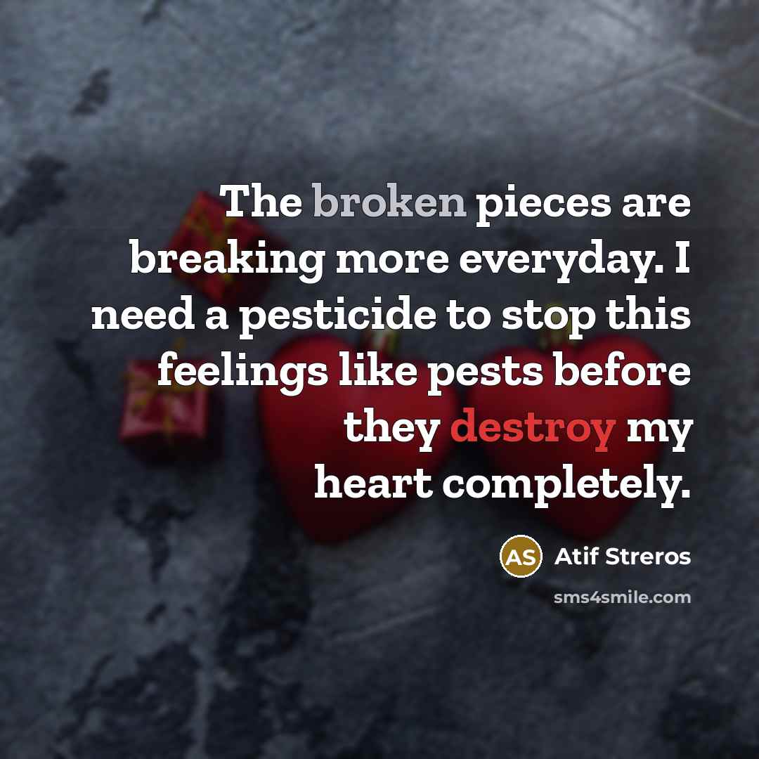 “The broken pieces are breaking more everyday. I need a pesticide to stop this feelings like pests before they destroy my heart completely.” quote by Atif Streros