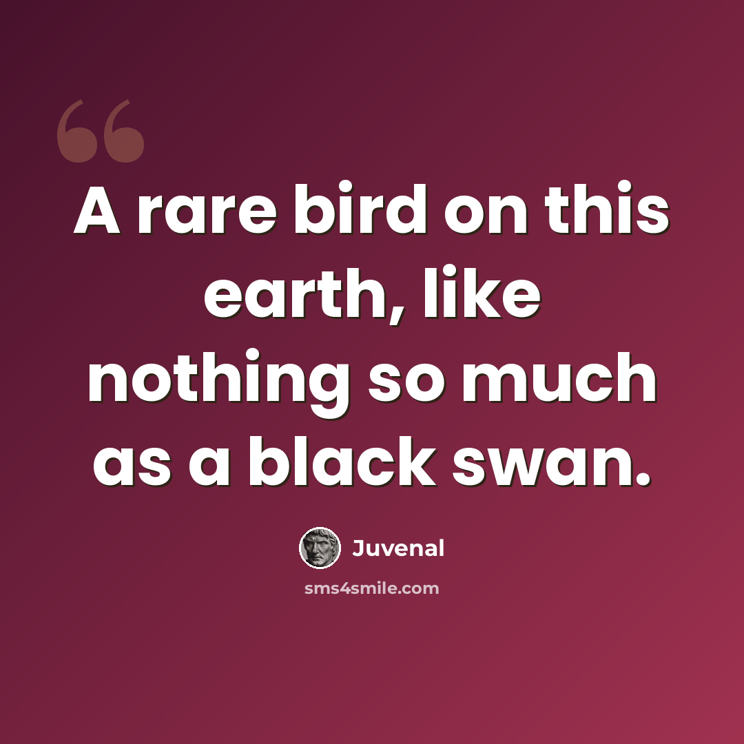 “A rare bird on this earth, like nothing so much as a black swan.” quote by Juvenal