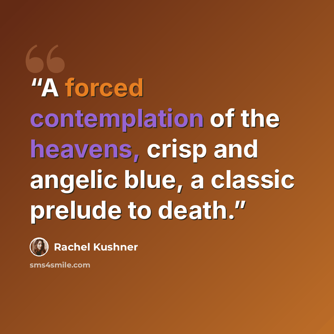 “A forced contemplation of the heavens, crisp and angelic blue, a classic prelude to death.” quote by Rachel Kushner