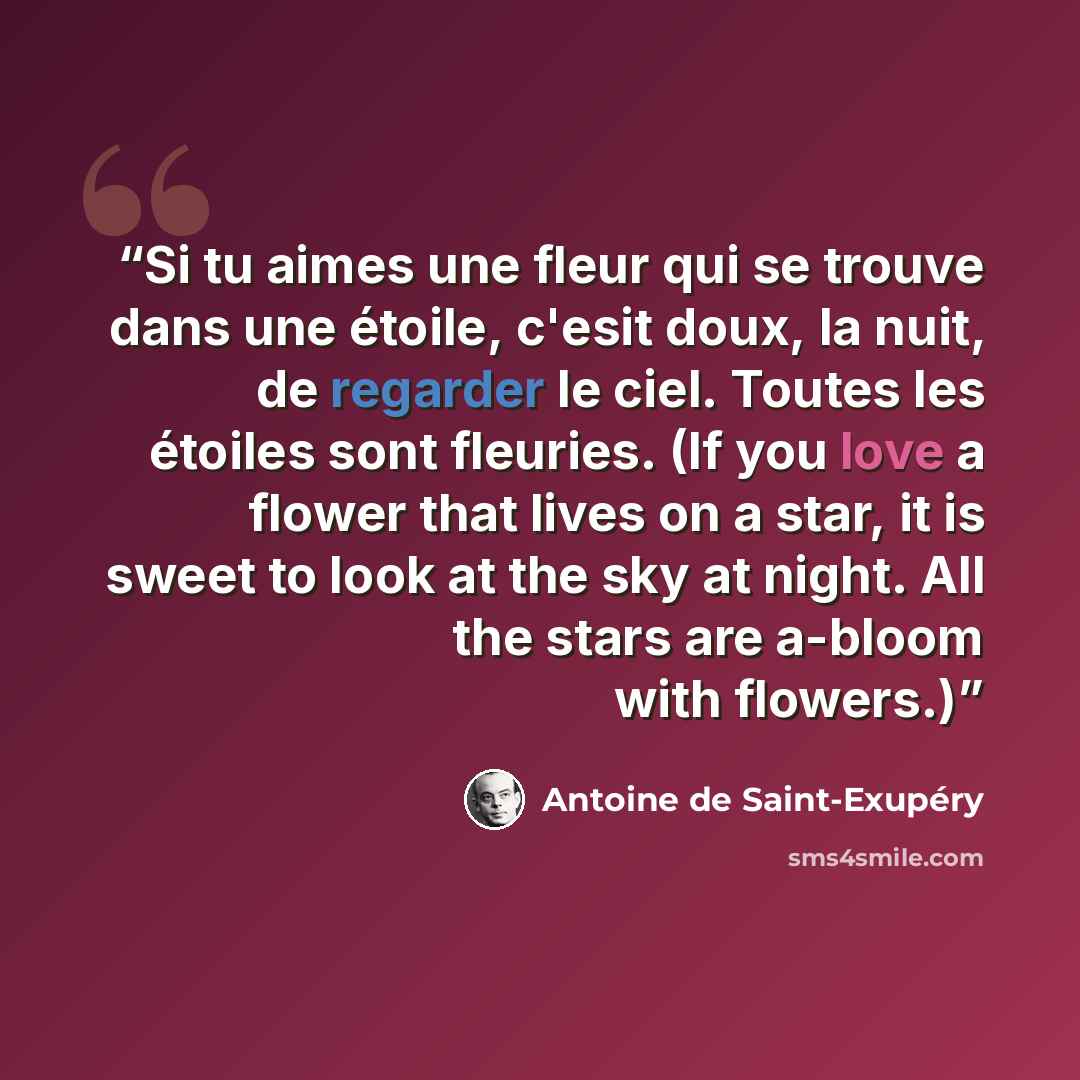 “Si tu aimes une fleur qui se trouve dans une étoile, c'esit doux, la nuit, de regarder le ciel. Toutes les étoiles sont fleuries. (If you love a flower that lives on a star, it is sweet to look at the sky at night. All the stars are a-bloom with flowers.)” quote by Antoine de Saint-Exupéry
