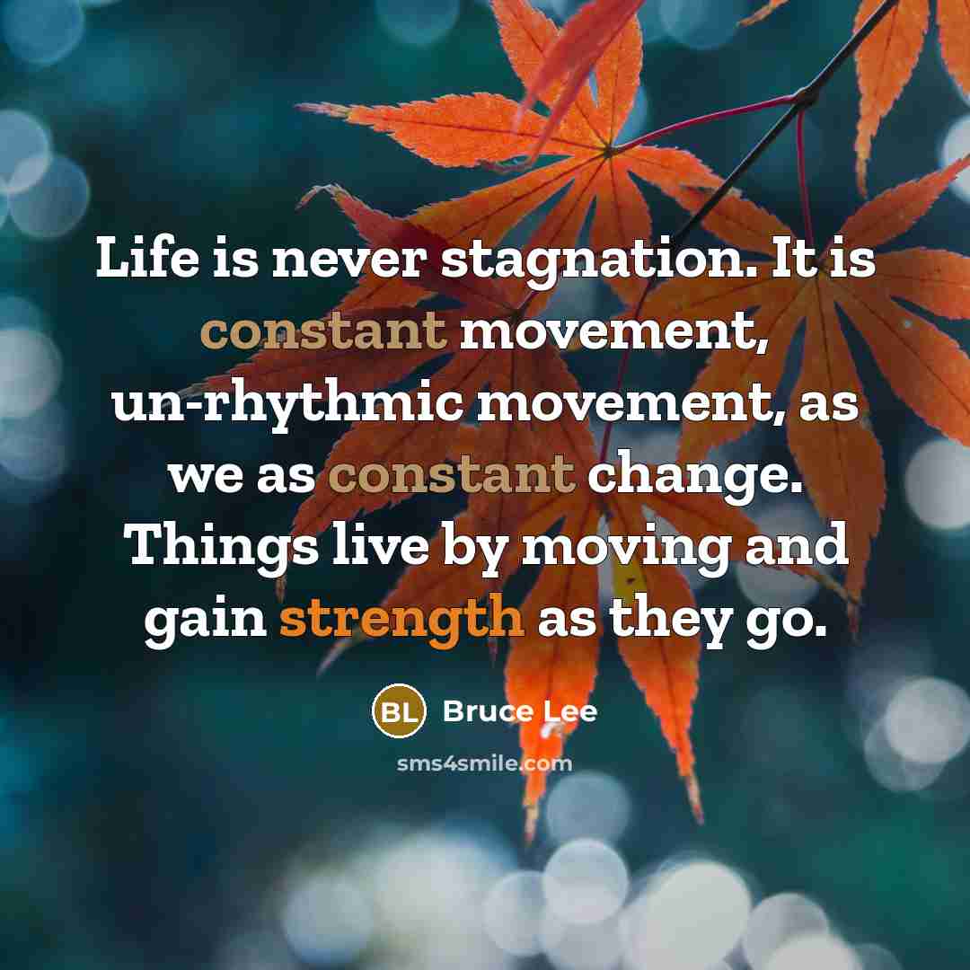 “Life is never stagnation. It is constant movement, un-rhythmic movement, as we as constant change. Things live by moving and gain strength as they go.” quote by Bruce Lee