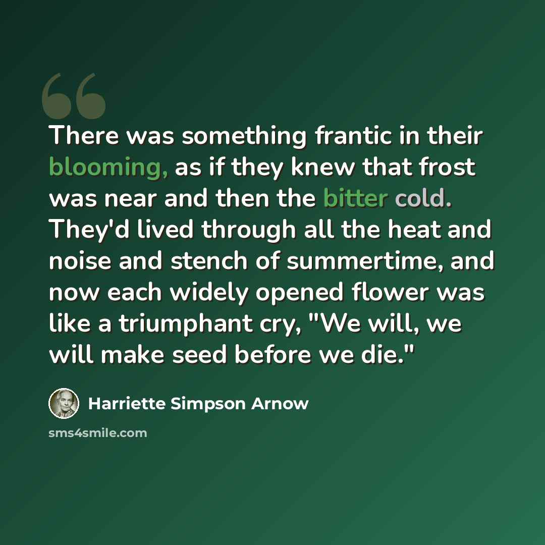 “There was something frantic in their blooming, as if they knew that frost was near and then the bitter cold. They'd lived through all the heat and noise and stench of summertime, and now each widely opened flower was like a triumphant cry, "We will, we will make seed before we die."” quote by Harriette Simpson Arnow