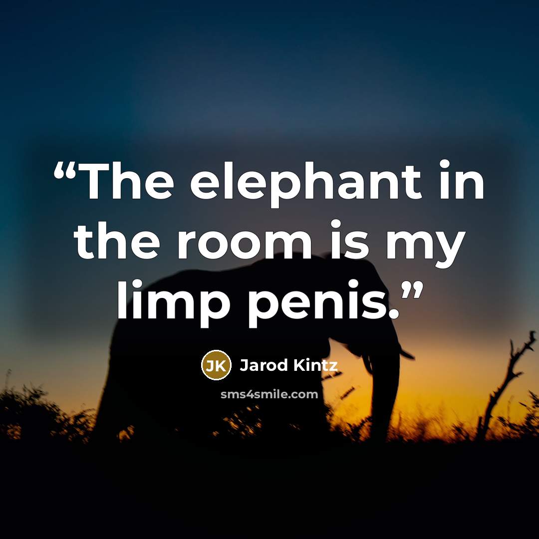 “The elephant in the room is my limp penis.” quote by Jarod Kintz