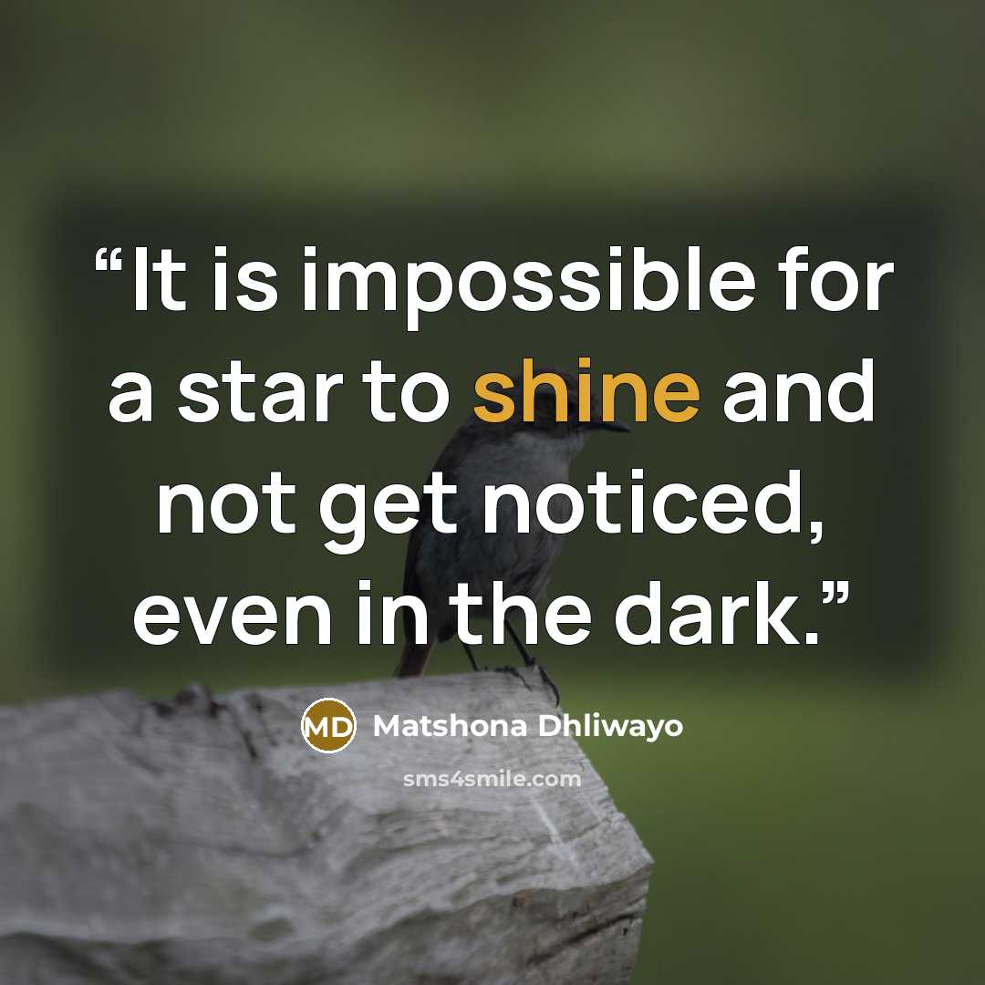 “It is impossible for a star to shine and not get noticed, even in the dark.” quote by Matshona Dhliwayo