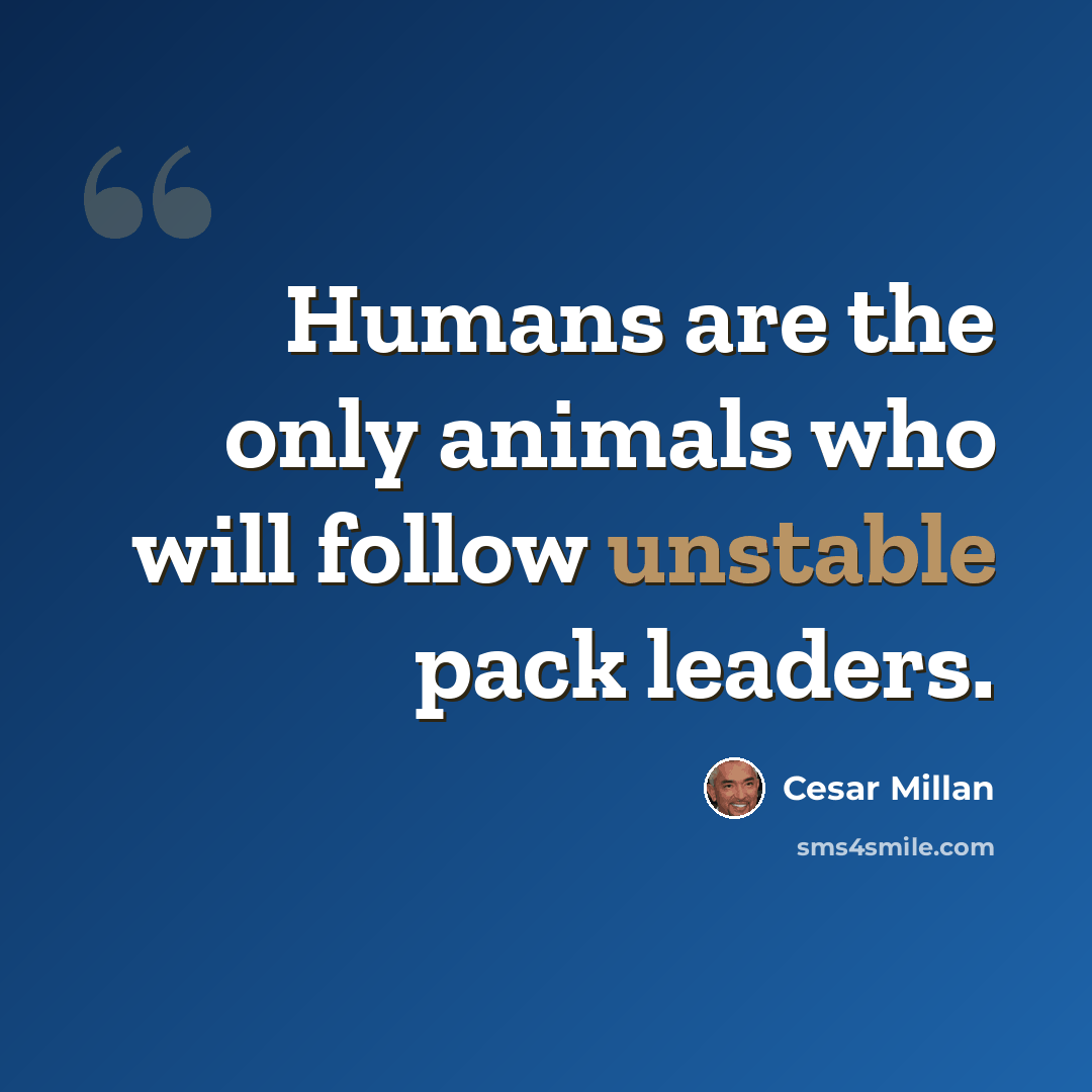 “Humans are the only animals who will follow unstable pack leaders.” quote by Cesar Millan