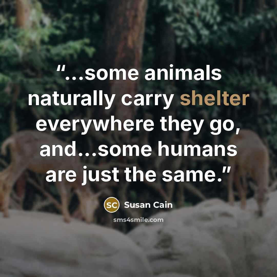 “...some animals naturally carry shelter everywhere they go, and...some humans are just the same.” quote by Susan Cain