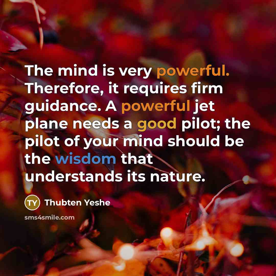 “The mind is very powerful. Therefore, it requires firm guidance. A powerful jet plane needs a good pilot; the pilot of your mind should be the wisdom that understands its nature.” quote by Thubten Yeshe