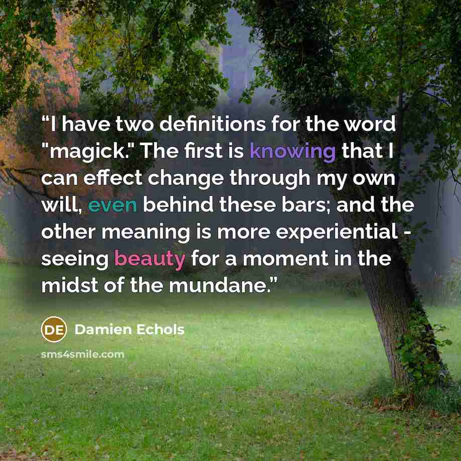 “I have two definitions for the word "magick." The first is knowing that I can effect change through my own will, even behind these bars; and the other meaning is more experiential - seeing beauty for a moment in the midst of the mundane.” quote by Damien Echols