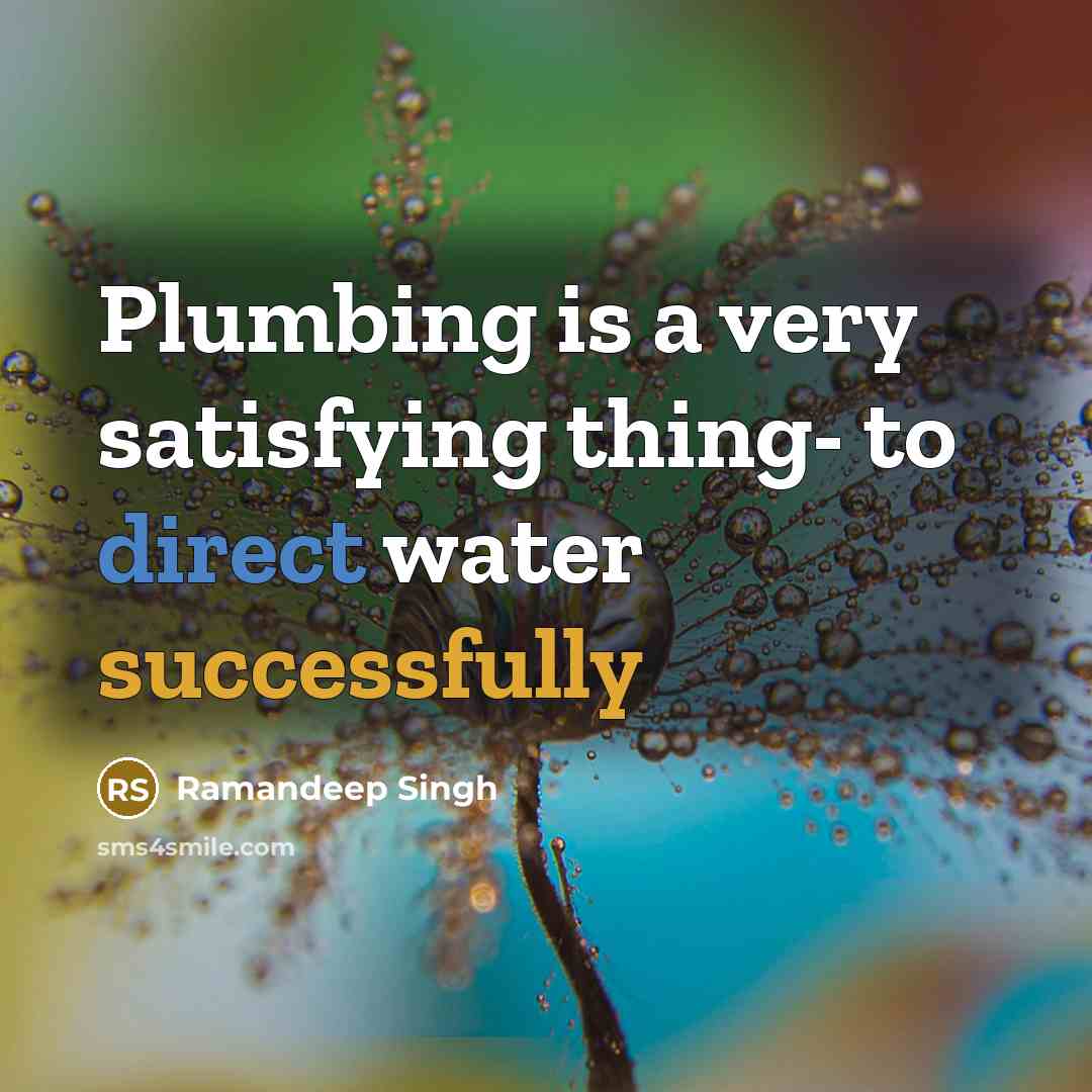 “Plumbing is a very satisfying thing- to direct water successfully” quote by Ramandeep Singh
