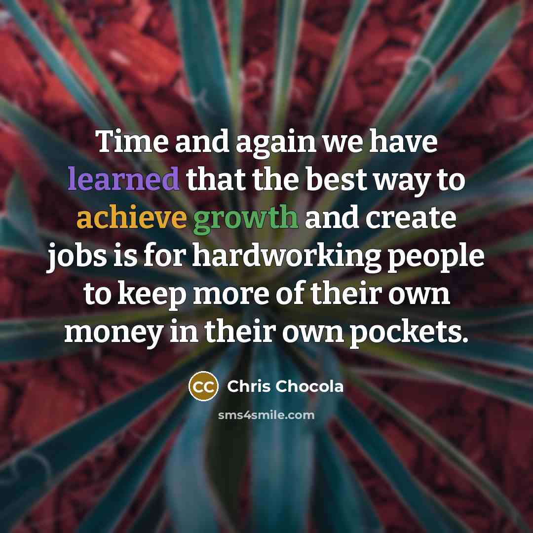 “Time and again we have learned that the best way to achieve growth and create jobs is for hardworking people to keep more of their own money in their own pockets.” quote by Chris Chocola