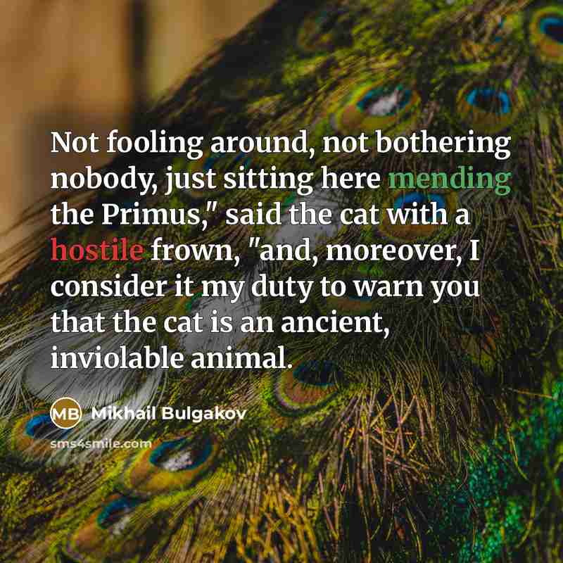 “Not fooling around, not bothering nobody, just sitting here mending the Primus," said the cat with a hostile frown, "and, moreover, I consider it my duty to warn you that the cat is an ancient, inviolable animal.” quote by Mikhail Bulgakov