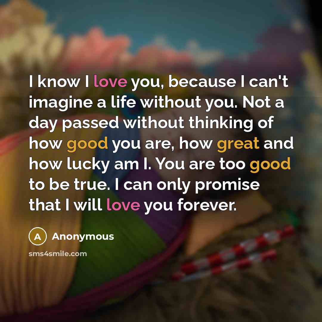 “I know I love you, because I can't imagine a life without you. Not a day passed without thinking of how good you are, how great and how lucky am I. You are too good to be true. I can only promise that I will love you forever.” quote by Anonymous