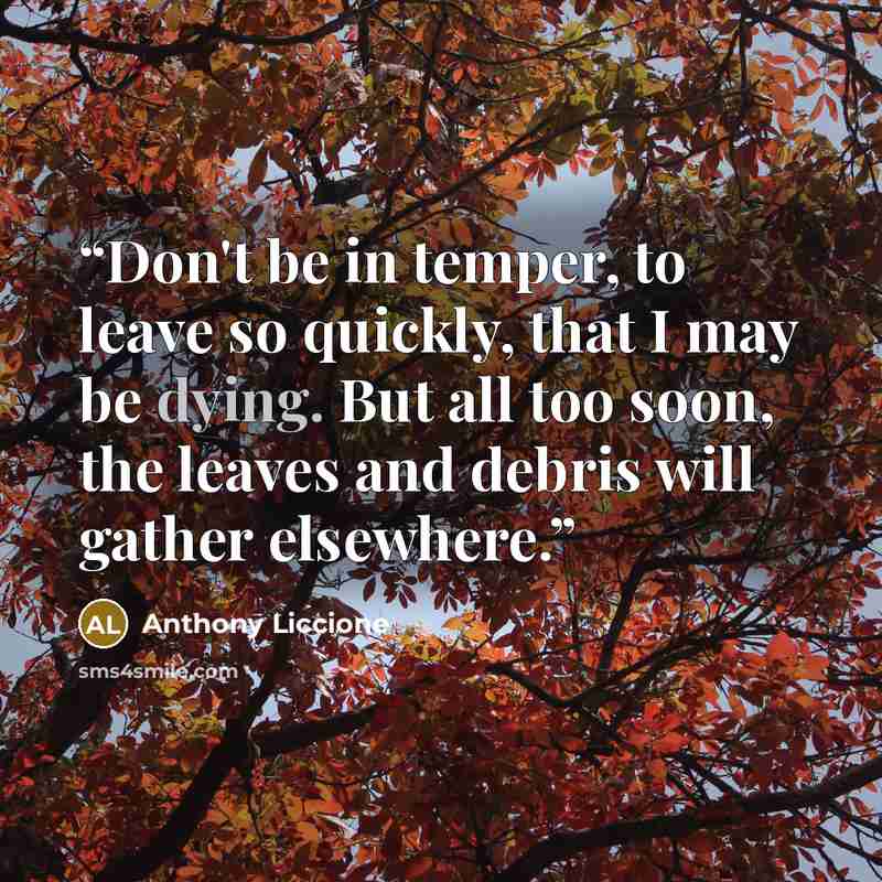 “Don't be in temper, to leave so quickly, that I may be dying. But all too soon, the leaves and debris will gather elsewhere.” quote by Anthony Liccione