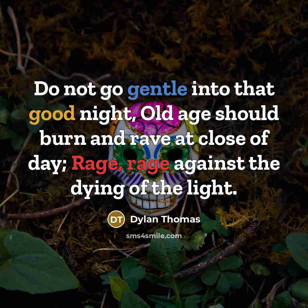 “Do not go gentle into that good night, Old age should burn and rave at close of day; Rage, rage against the dying of the light.” quote by Dylan Thomas