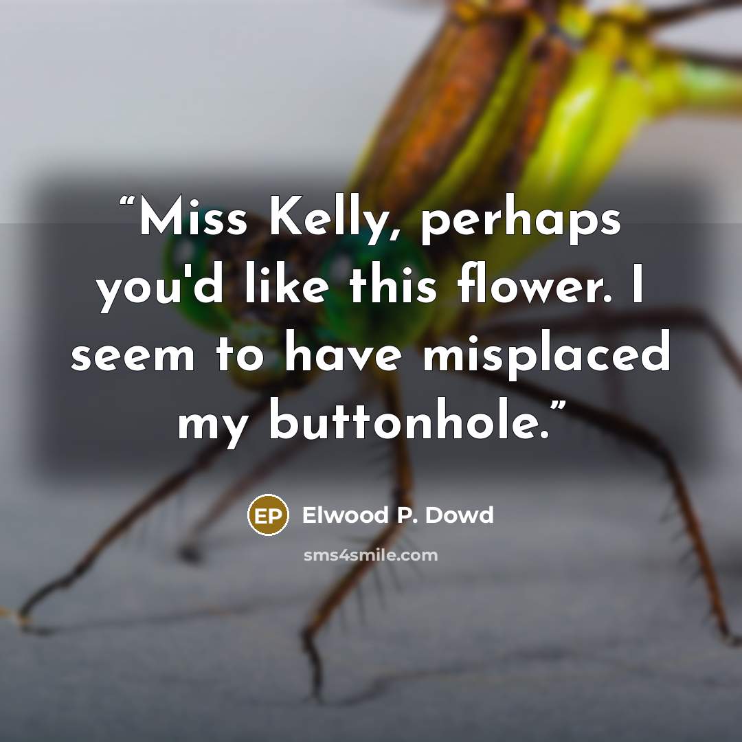 “Miss Kelly, perhaps you'd like this flower. I seem to have misplaced my buttonhole.” quote by Elwood P. Dowd