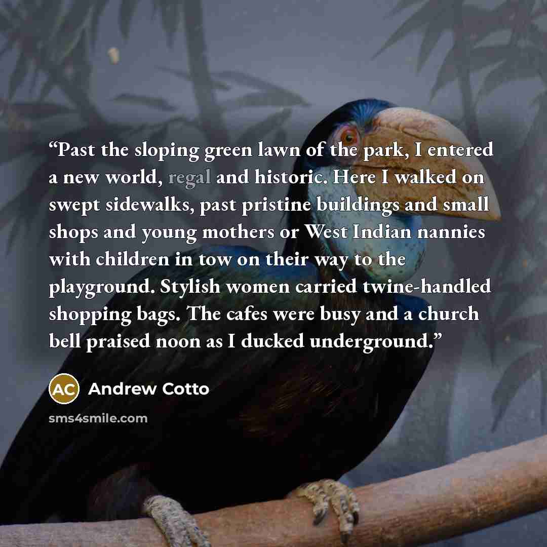 “Past the sloping green lawn of the park, I entered a new world, regal and historic. Here I walked on swept sidewalks, past pristine buildings and small shops and young mothers or West Indian nannies with children in tow on their way to the playground. Stylish women carried twine-handled shopping…” quote by Andrew Cotto