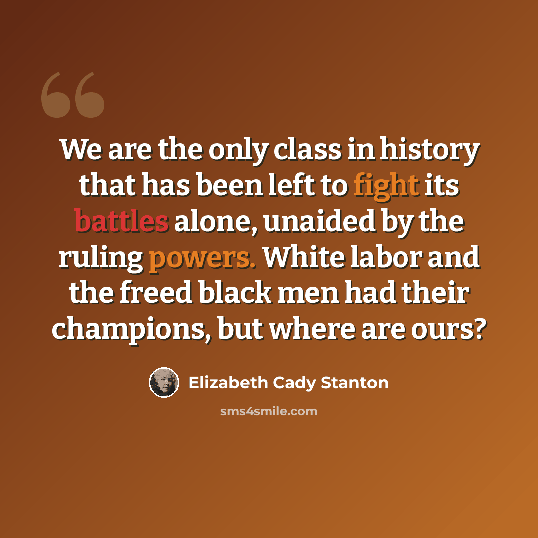 “We are the only class in history that has been left to fight its battles alone, unaided by the ruling powers. White labor and the freed black men had their champions, but where are ours?” quote by Elizabeth Cady Stanton